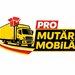Pro Mutari Mobila - firma profesionista de mutari mobila